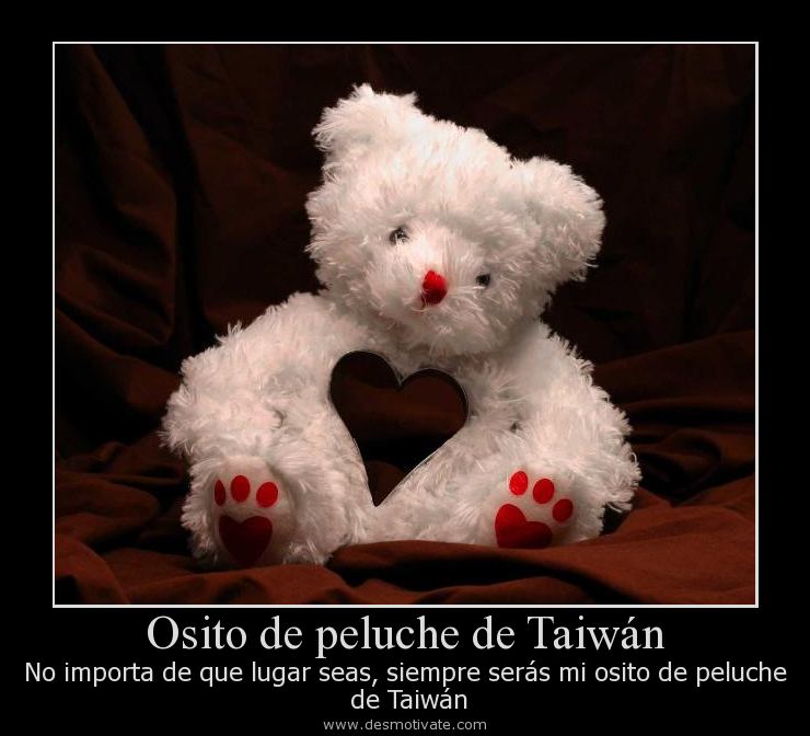 osito de peluche de taiwán